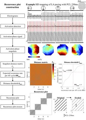 A Novel Tool for the Identification and Characterization of Repetitive Patterns in High-Density Contact Mapping of Atrial Fibrillation